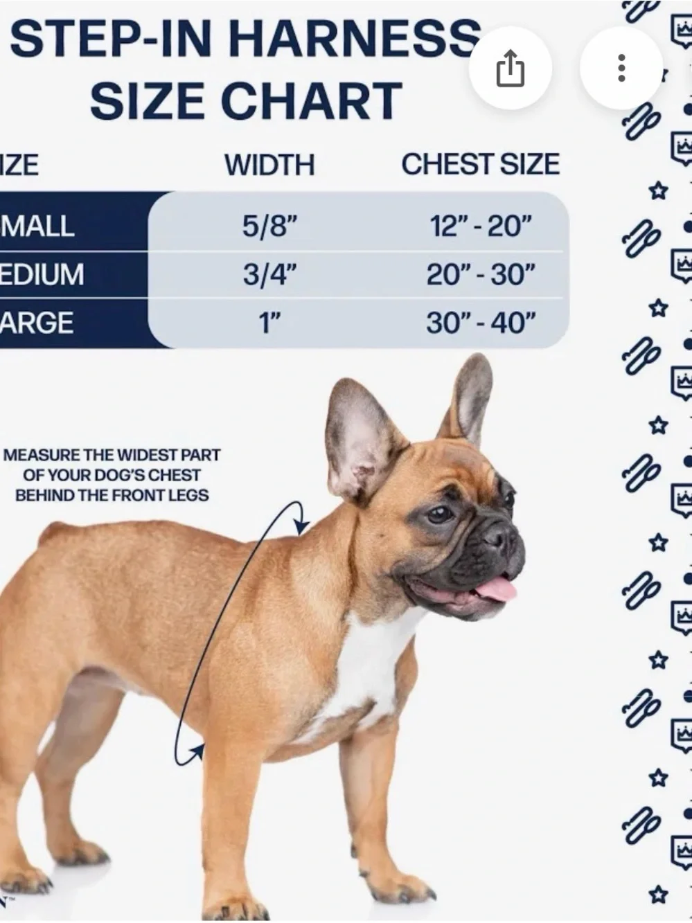 Hamilton Teal Nylon Dog Harness with Plastic Buckle